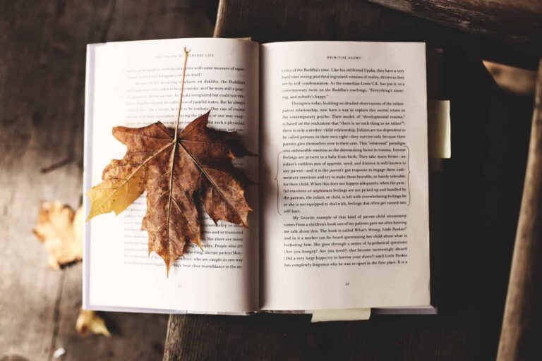 12 books that feel like fall for cozy autumn vibes