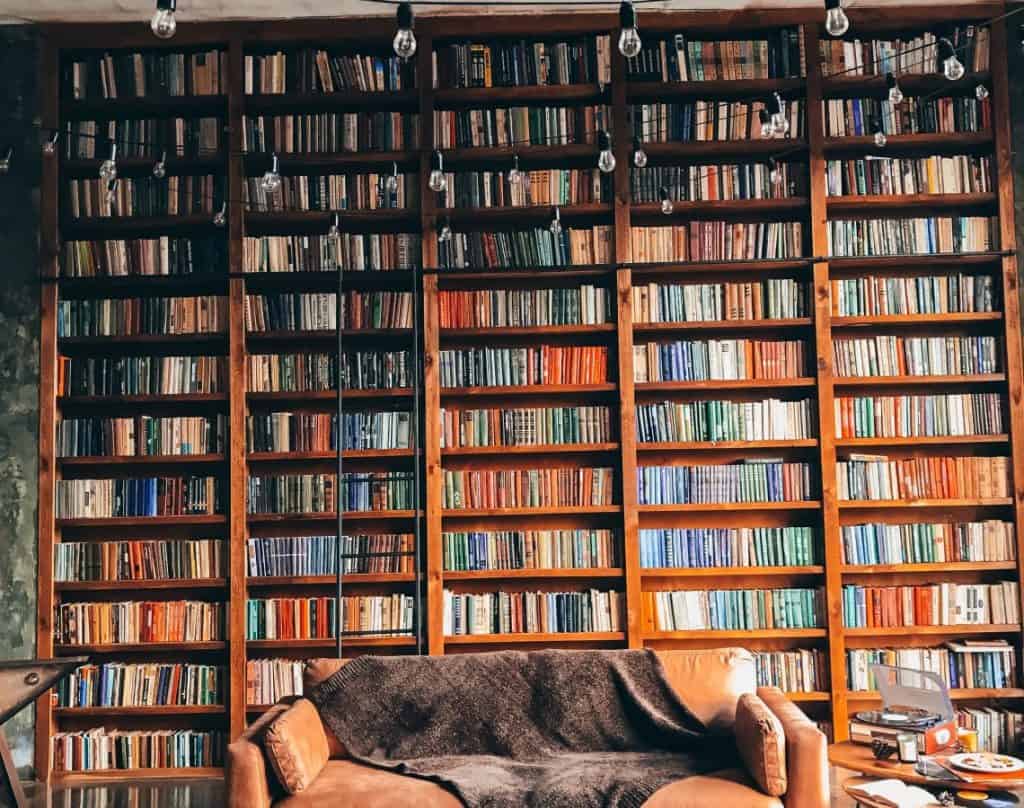 Sofa in front of bookshelves