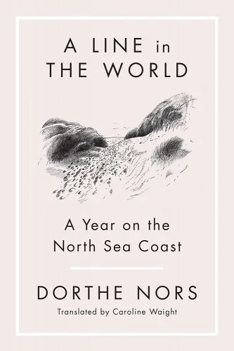a line in the world by dorthe nors cover