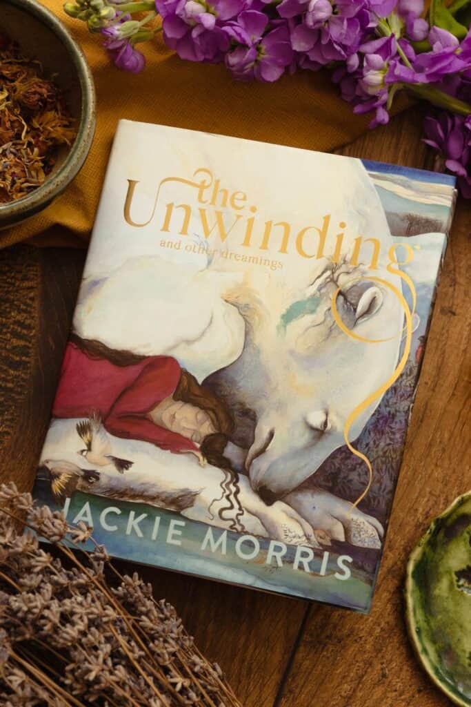 The Unwinding book