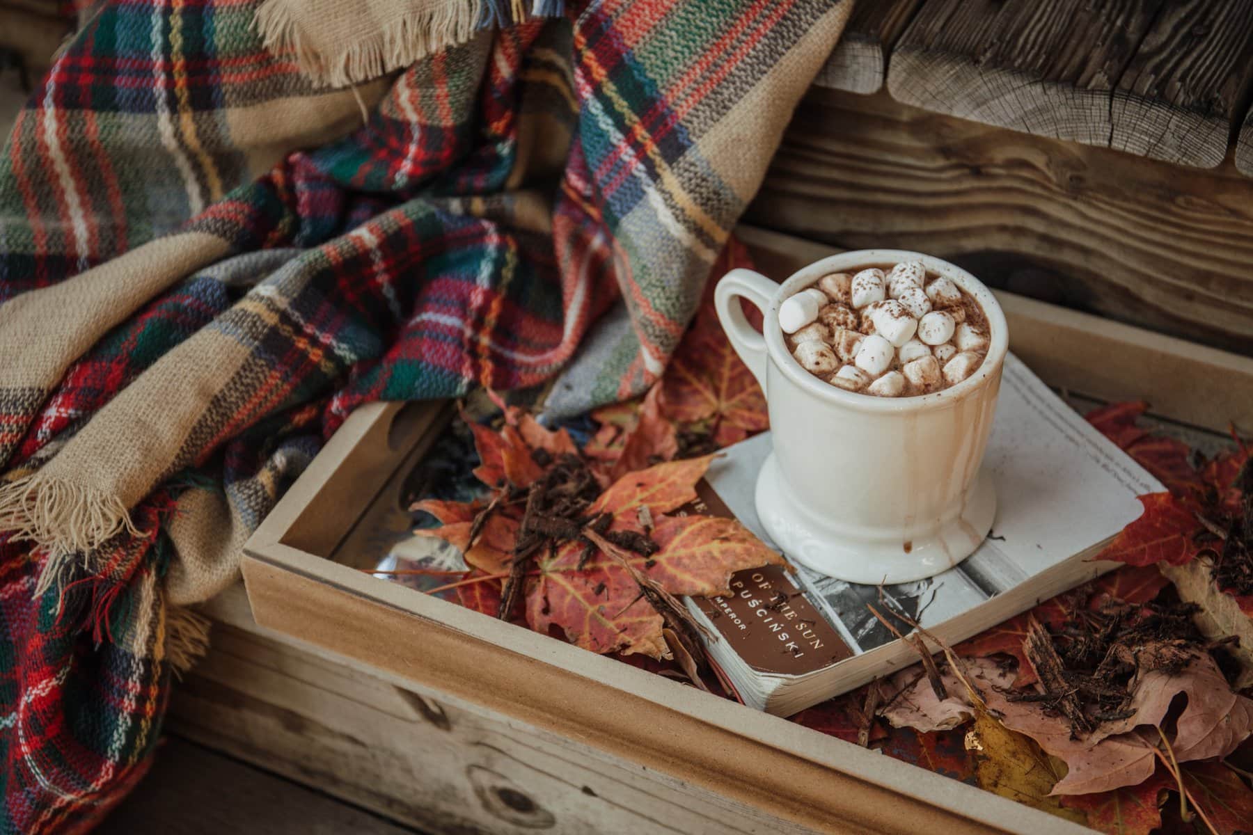 cozy book with hot chocolate and blanket in fall