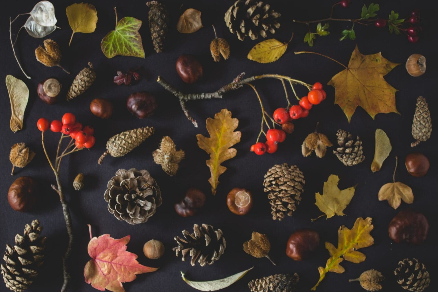 12 Best Thanksgiving Books For Cozy And Restful Reading Tolstoy Therapy 12-best-thanksgiving-books-for-cozy-and-restful-reading-tolstoy-therapy