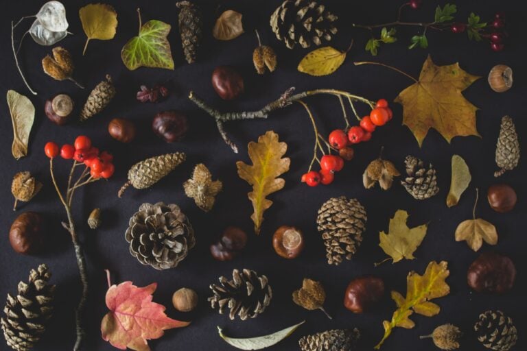 12 best Thanksgiving books for cozy and restful reading