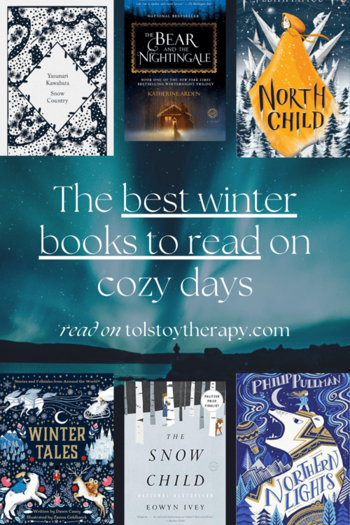 summary of the best winter books to read on cozy days recommendations